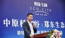 王小飞最新爆料新闻视频,最新爆料新闻视频深度解析