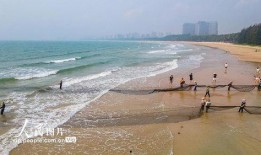 海南赶海爆料视频下载,揭秘渔民捕捞瞬间，高清视频带你领略海洋魅力